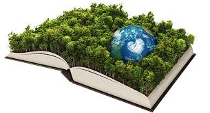 Resultado de imagen para ecologia