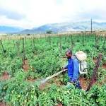 False reporting damaged farmers' reputation