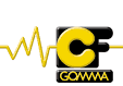 C.F. Gomma Group LinkedIn