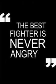 Quotes About Being A Fighter. QuotesGram via Relatably.com