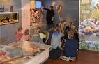 Kreetan museot Kreikkaan