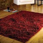 Area Rugs Clearance eBay