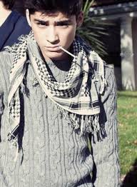 Image result for biodata zayn malik