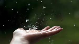 Heatwave ahead before sharp cooldown, rain expected