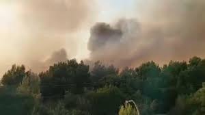 RaiNews - News update