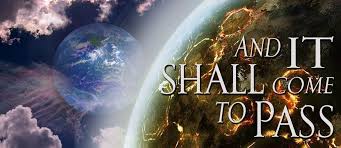 Image result for DID THE SHEMITAH