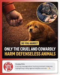 It's impossible to ignore the harsh reality that cruelty ...