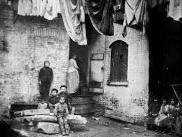 Image result for jacob riis