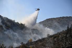Los bomberos luchan contra enormes incendios forestales en Bélgica y Grecia; dos personas mueren en una isla cerca de Atenas