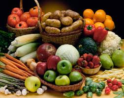 Resultado de imagen para elementos de la nutricion humana