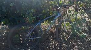 Bicicleta de jovem desaparecido em parque estadual é encontrada durante as buscas