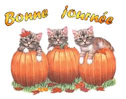 Résultat de recherche d'images pour "gif bon lundi halloween"