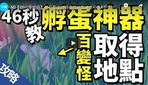縮圖圖片