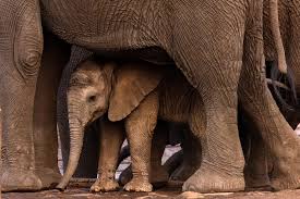 I have a picture for you! 09-15 November 2024