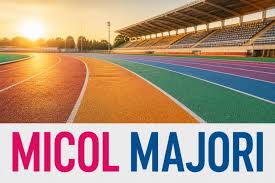 Trend Google: micol majori