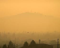 Opinion | My Hometown Went Up in Flames. It Won’t Be the Last.