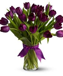Resultado de imagem para tulips images