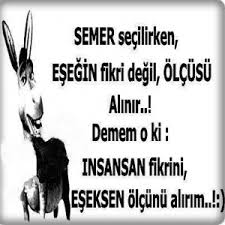 polat alemdar damar sözleri ile ilgili görsel sonucu