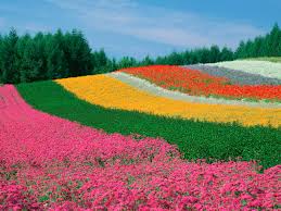 Image result for pictures gallery for amazing places of the world