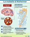 Mdicaments approuvs pour le traitement de la maladie d Alzheimer