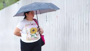 Milenio - News update