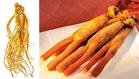 Korea ginseng