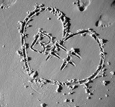 Résultat de recherche d'images pour 