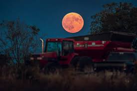 National Geographic España - News update
