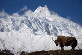 Image result for natural resources of nepal
