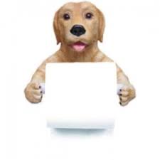 images?q=tbn:ANd9GcS_zbs4Gsz7dtEQkE5fuvqD8cd8eW9ssbyFlAv5in9doN4atBobXg