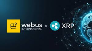 Crypto News Australia - News update