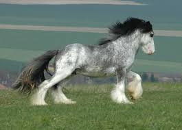 R&eacute;sultat de recherche d'images pour 