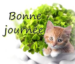 Résultat de recherche d'images pour "bonne journee"
