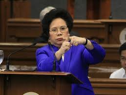 Image result for miriam santiago sick