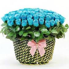 Image result for karangan bunga mawar biru