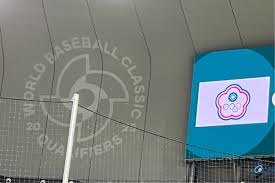 影/《WBC》中華隊首戰出師不利 「台灣隊長」陳傑憲遭觸身球手指骨裂傷退! 全場僅敲3安遭澳洲完封