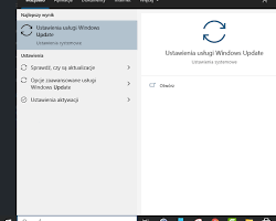 Obraz: Opcja Windows Update w aplikacji Ustawienia