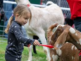 Manhattan Beach Hometown Fair and South Bay Events