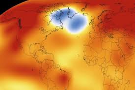 A mysterious ‘cold blob’ in the ocean has puzzled scientists. A new study says it’s an ominous sign