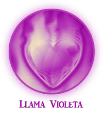 Resultado de imagen de frases sobre llama violeta