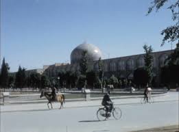 Image result for IRAN HORSES