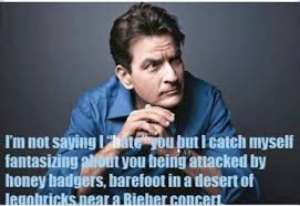 Charlie sheen | Quotes and ecards | Pinterest | Charlie Sheen via Relatably.com