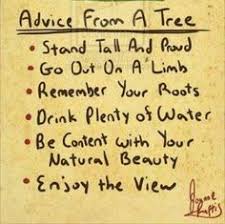 Arbor Day on Pinterest | Arbors, Charlie Brown and Life Is Good via Relatably.com