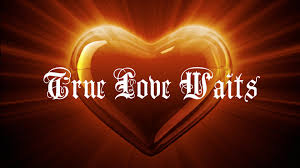 Image result for true love wallpaper