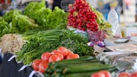 Vegetable and Food Prices Up on Wholesale Markets in a Week