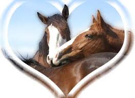 R&eacute;sultat de recherche d'images pour 