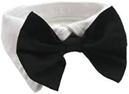 Formal Black Dog Bow Tie (XXL: Neck 23-26")