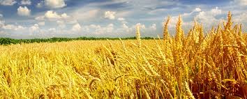 Image result for US Futures