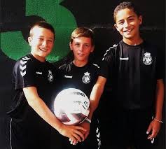 Diario de Mallorca - News update