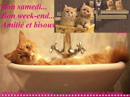 Résultat de recherche d'images pour "images c'est le weekend humour"